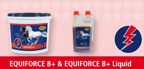 HAVENS B+ Liquid