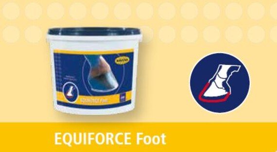 HAVENS Foot