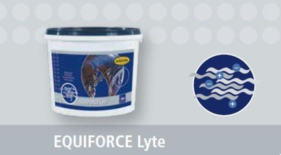 HAVENS Lyte