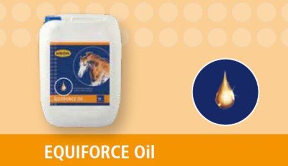 HAVENS Oil