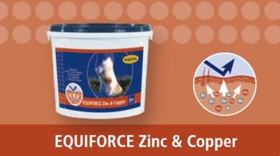 HAVENS Zinc & Copper