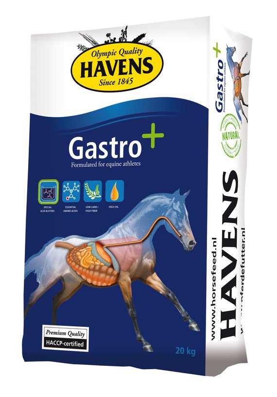 HAVENS Gastro+