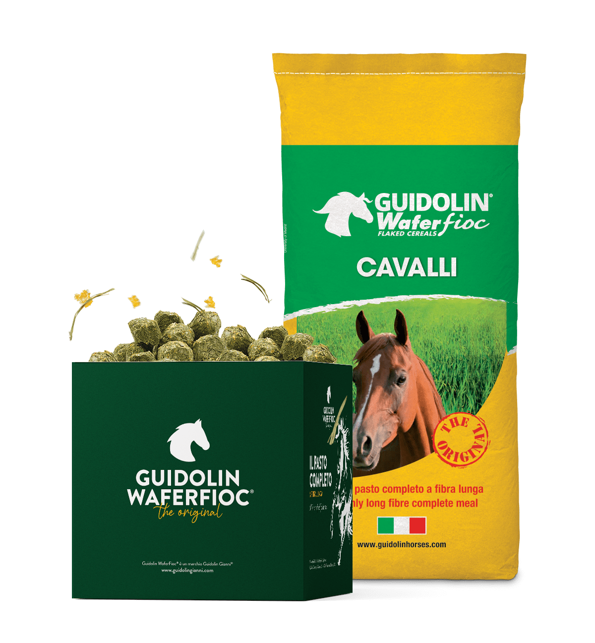 Guidolin Gianni WaferFioc® Cavalli