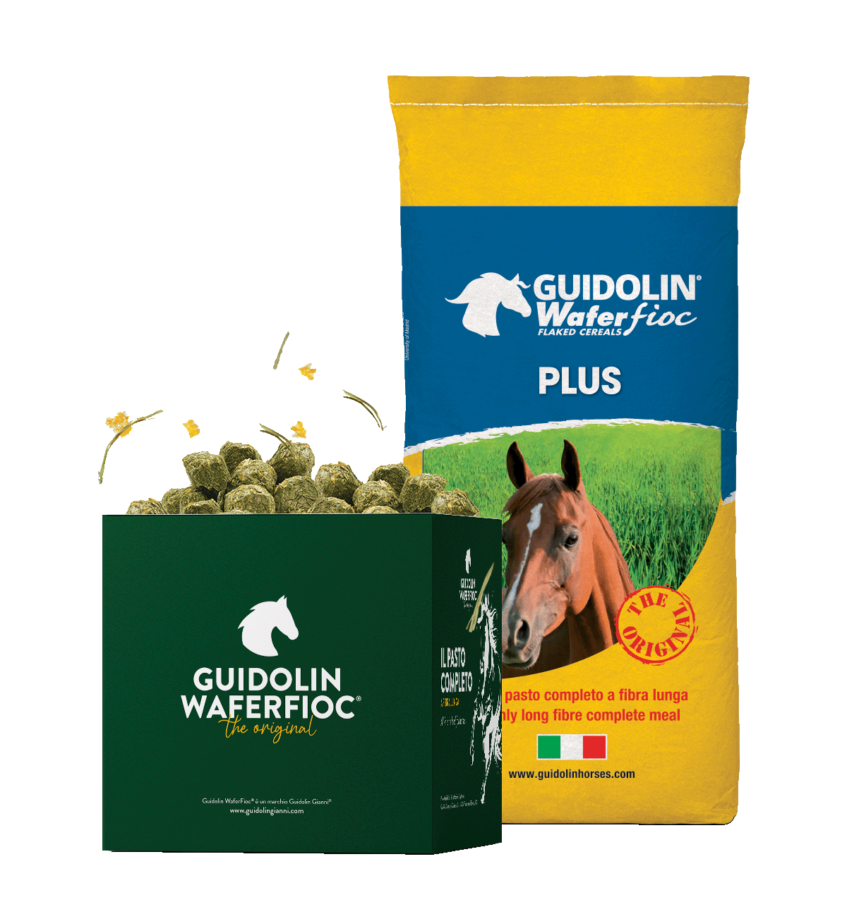Guidolin Gianni WaferFioc® Plus