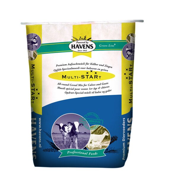 HAVENS Multi-Start